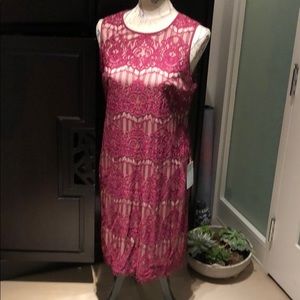 Burgundy lace shift dress